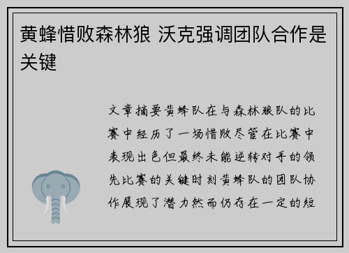 黄蜂惜败森林狼 沃克强调团队合作是关键